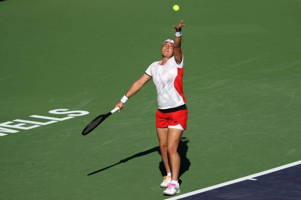 不可或缺的 不可或缺的