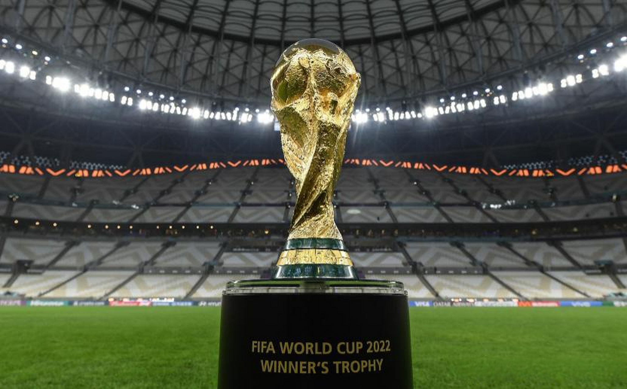 武桐桐重返 武桐桐重返