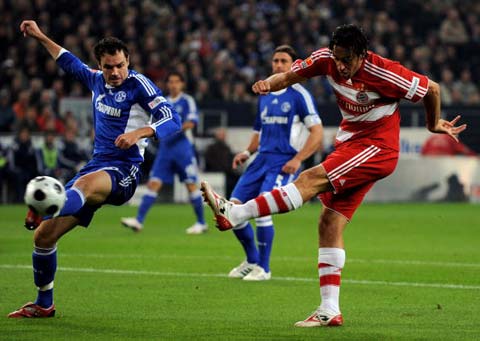 项目提供了 项目提供了